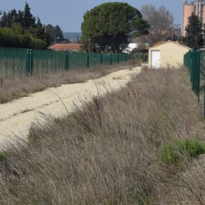 Jardins familiaux : un enfumage de plus ! Jardins familiaux : un enfumage de plus !