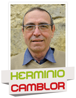 Herminio Camblor Réagir Pour Beaucaire