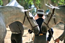 Des enfants et des chevaux Des enfants et des chevaux