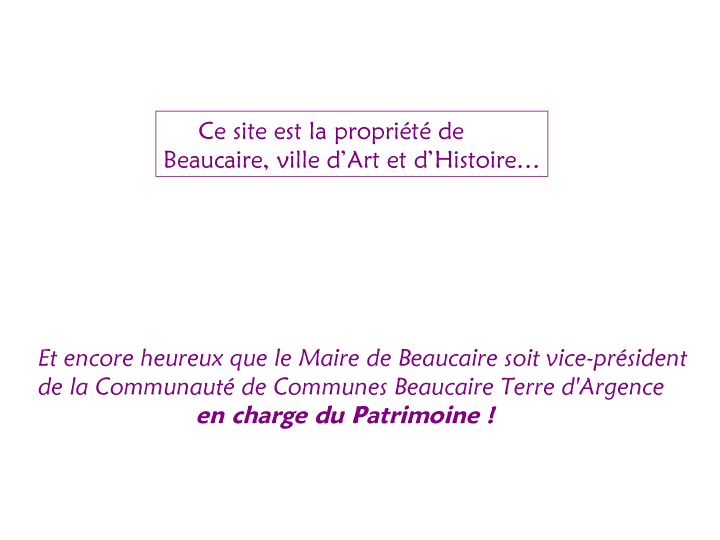 Beaucaire- ville touristique 3-5